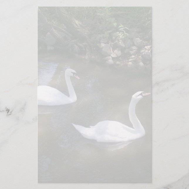 Papelaria Papel de Carta Curioso dos Swans (Frente)