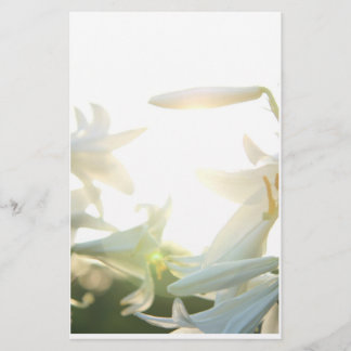 Papelaria Papel de carta da alegria da manhã