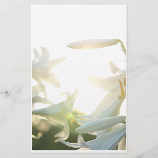 Papelaria Papel de carta da alegria da manhã (Frente)