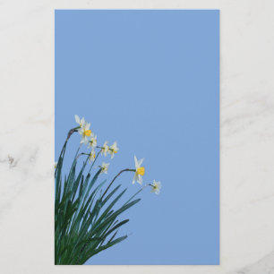 Papelaria Papel de Carta das Flores Daffodil
