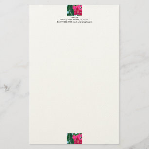 Papelaria Papel de Carta das Flores Rosa