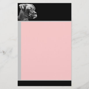 Papelaria papel de carta de cachorrinho