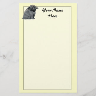 Papelaria Papel de carta de Holland Lop