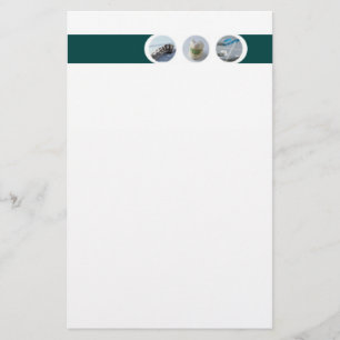 Papelaria Papel de Carta Dentista