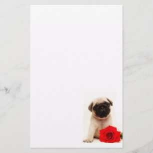 Papelaria Papel de carta do filhote de cachorro do Pug