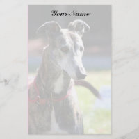 Papel de carta do galgo