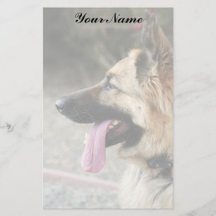 Papelaria Papel de carta do german shepherd