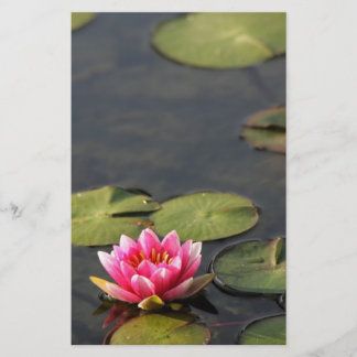 Papelaria papel de carta do lírio do parque do balboa