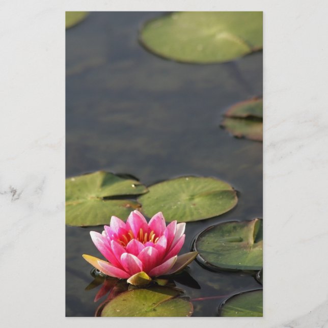 Papelaria papel de carta do lírio do parque do balboa (Frente)