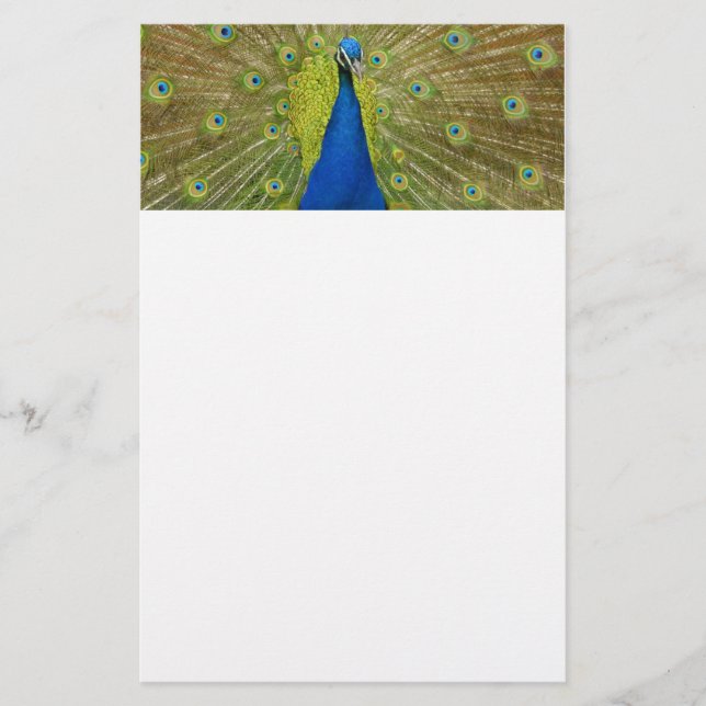 Papelaria Papel de carta do pavão (Frente)