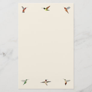 Papelaria Papel de Carta Ecru Hummingbird