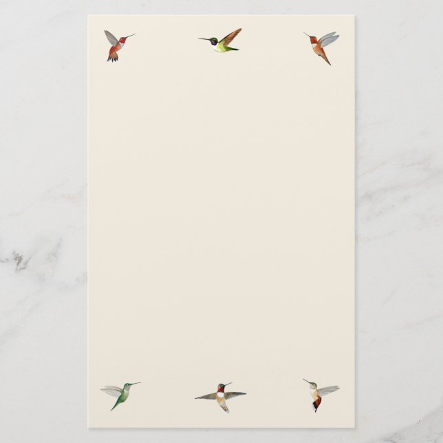 Papelaria Papel de Carta Ecru Hummingbird (Frente)