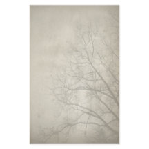 Papel de Carta Erie Winter Day