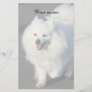 Papelaria Papel de carta Eskimo americano