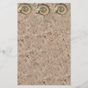 Papelaria Papel de Carta Fossil