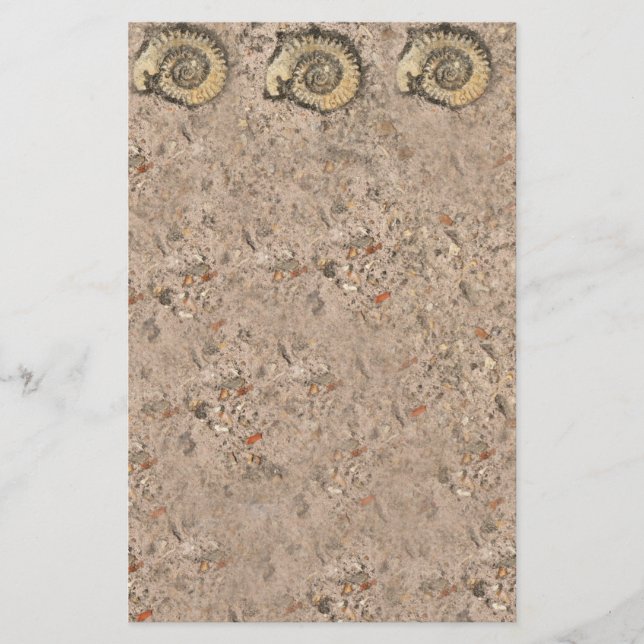 Papelaria Papel de Carta Fossil (Frente)