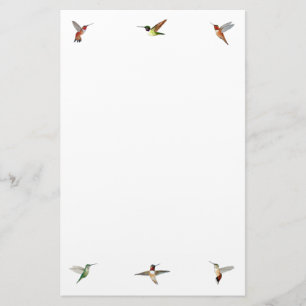 Papelaria Papel de Carta Hummingbird
