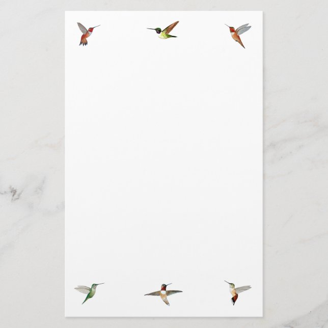 Papelaria Papel de Carta Hummingbird (Frente)
