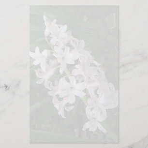Papelaria Papel de Carta Hyacinths