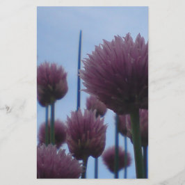 Papelaria Papel de Carta - Imagens 1