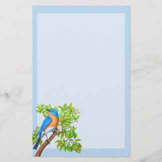 Papelaria Papel de Carta para Aves Selvagens da Bluebird Ori