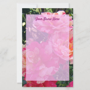 Papelaria Papel de carta para Rosas com risca branca e rosa