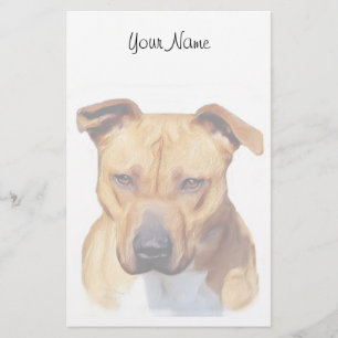 Papelaria papel de carta Pitbull