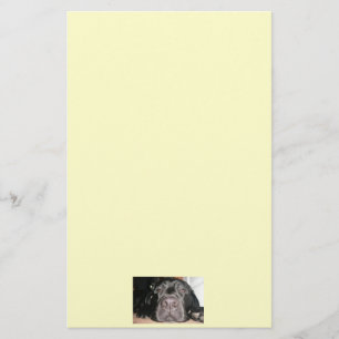 Papelaria Papel de carta Preto