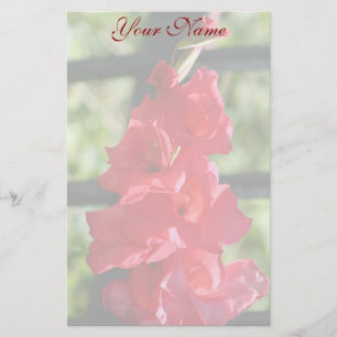 Papelaria Papel de carta vermelho de Gladiola