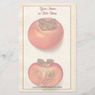 Papelaria Papel de Carta Vintage Persimmons