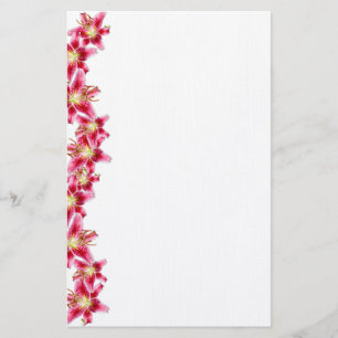 Papelaria Papel de Papel de carta Stargazer Lily Border