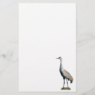 Papelaria Papel Letterhead Fotográfico Sandhill Crane