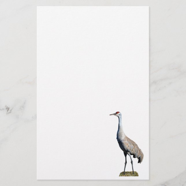 Papelaria Papel Letterhead Fotográfico Sandhill Crane (Frente)
