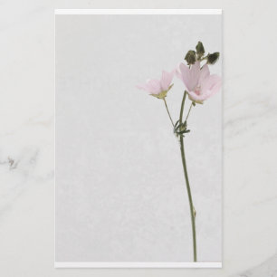 Papelaria paper flower