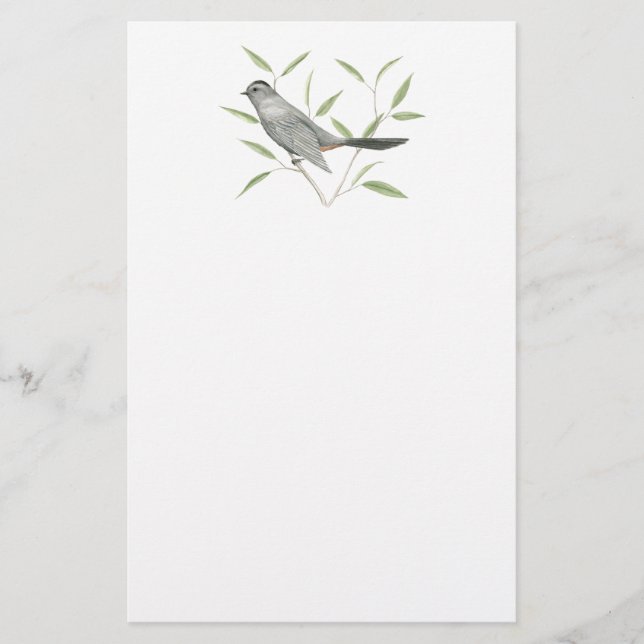 Papelaria para aves de Cinza (Frente)