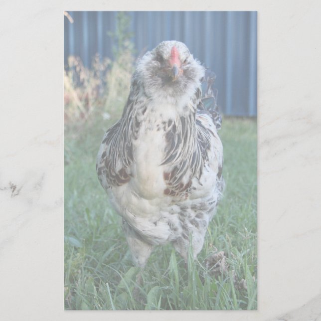 Papelaria Páscoa Egger Rooster (Frente)