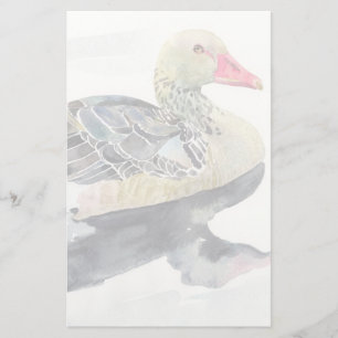 Papelaria Pássaro da aguarela do desenhar da mão, pato