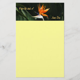 Papelaria Pássaro da Flor Tropical Laranja do Paraíso