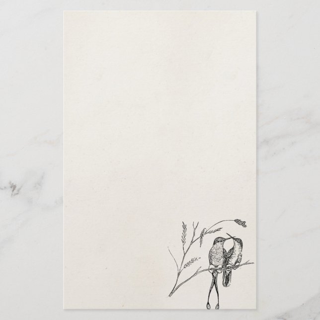 Papelaria Pássaro personalizado colibri da cauda da raquete (Frente)