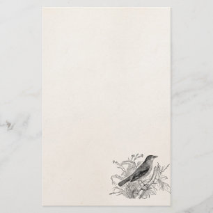 Papelaria Pássaros retros personalizados pássaro do rouxin