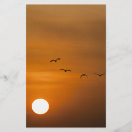 Papelaria Pássaros voando no pôr do sol