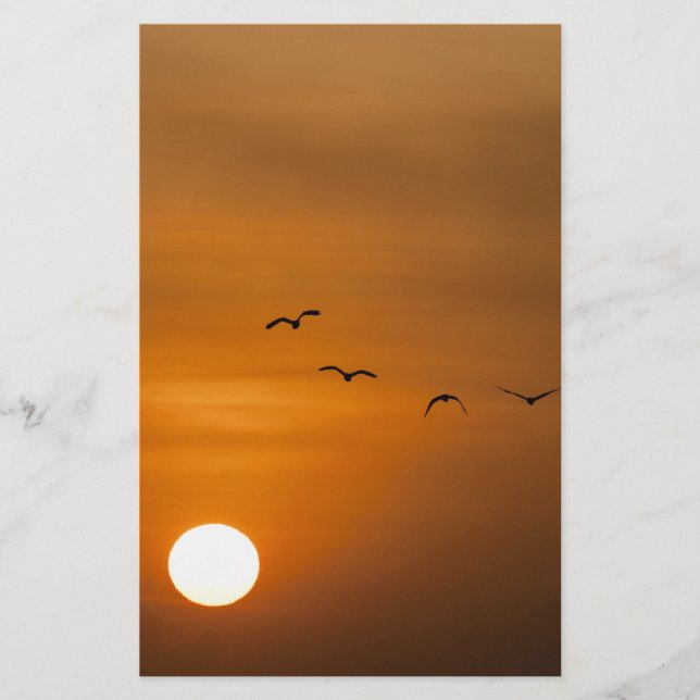 Papelaria Pássaros voando no pôr do sol (Frente)