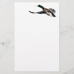 Papelaria pato