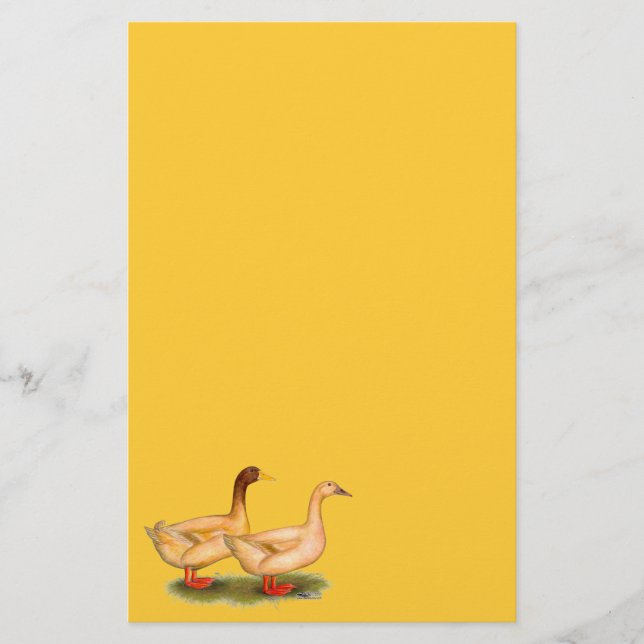 Papelaria Patos: Buff Orpington (Frente)