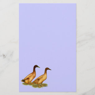 Papelaria Patos:  Campbell Khaki