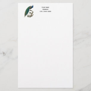 Papelaria Pavão em um Galho de Papel de Carta