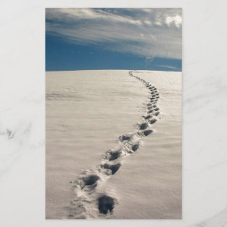 Papelaria Pegadas na areia