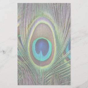 Papelaria Pena de Peacock
