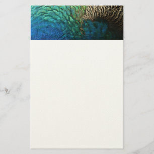 Papelaria Penas de Peacock I Abstrato