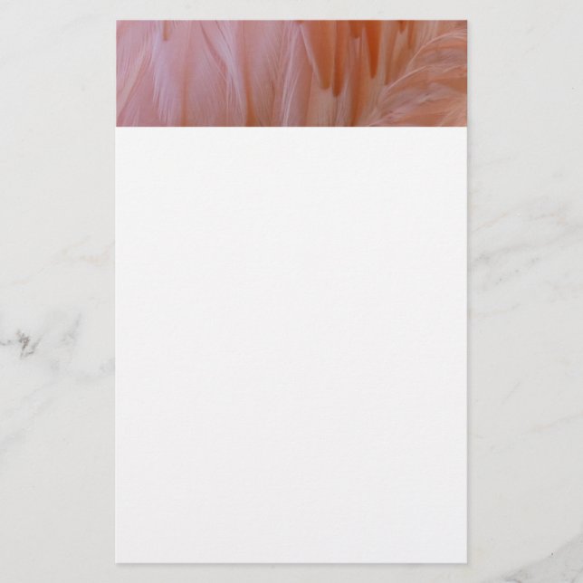 Papelaria Penas Flamingo em tons de rosa (Frente)